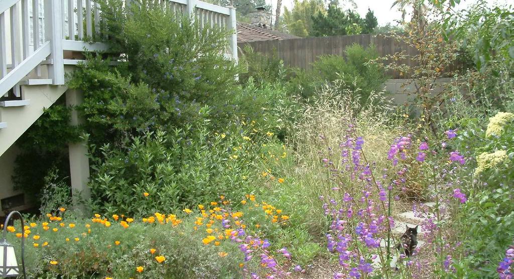 California Native Garden See pricing, information, and more