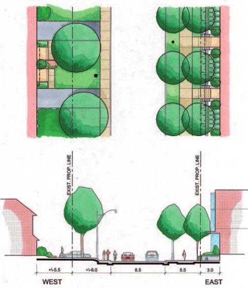 The 2 to 3 metre setback would allow for private front yards and may also protect a majority of the mature trees which currently exist along Duplex Avenue.