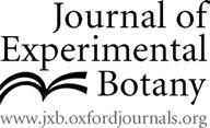 Journl of Experimentl Botny, Vol. 58, No. 15/16, pp. 4213 4224, 2007 doi:10.1093/jxb/erm281 This pper is vilble online free of ll ccess chrges (see http://jxb.oxfordjournls.org/open_ccess.