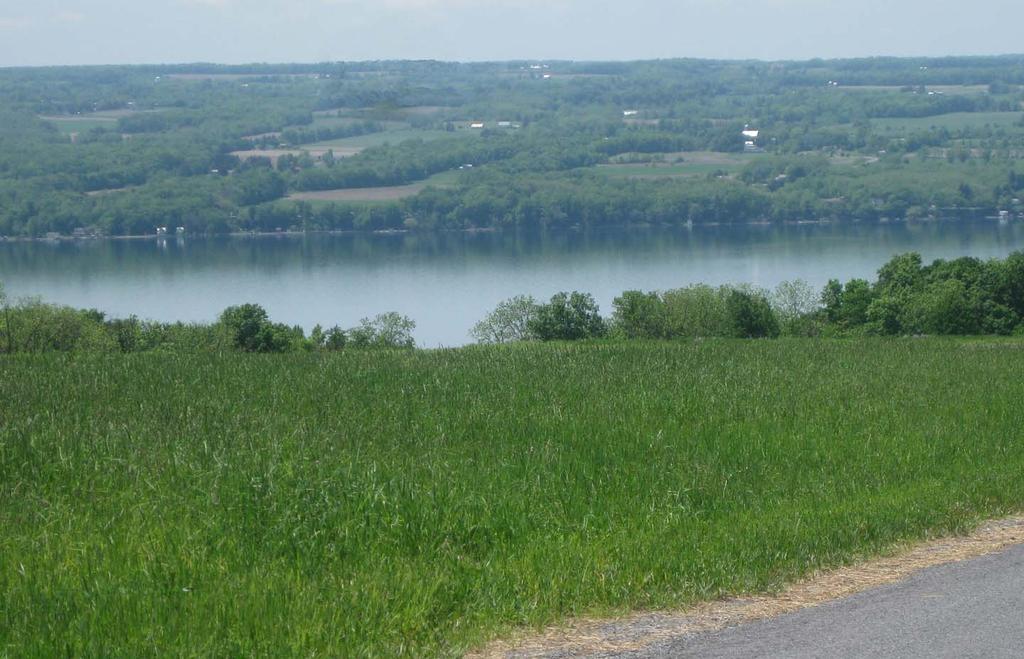 The scenically unique rural-agrarian landscape of the Finger lakes Region. This view is looking southwest across a farm field from Powers Road in the Town of Genoa, May 2011.