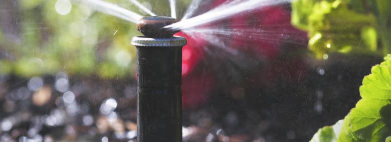 sprinker watering times Sprinker type Typica watering rate
