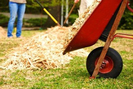 USE MULCHES such as woodchips, to