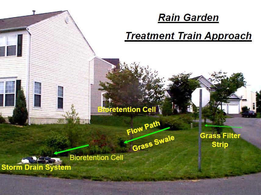 surfaces Rain Water Harvesting Infiltration