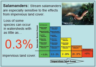 Watersheds containing less than 10 percent