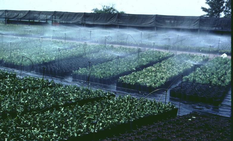 Moderate conditions reduce evaporative demand by reducing VPD Too