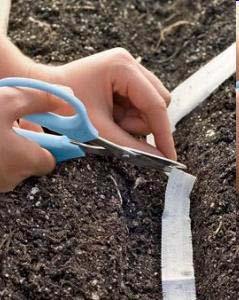 Seed Tapes for Direct Seeding biodegradable