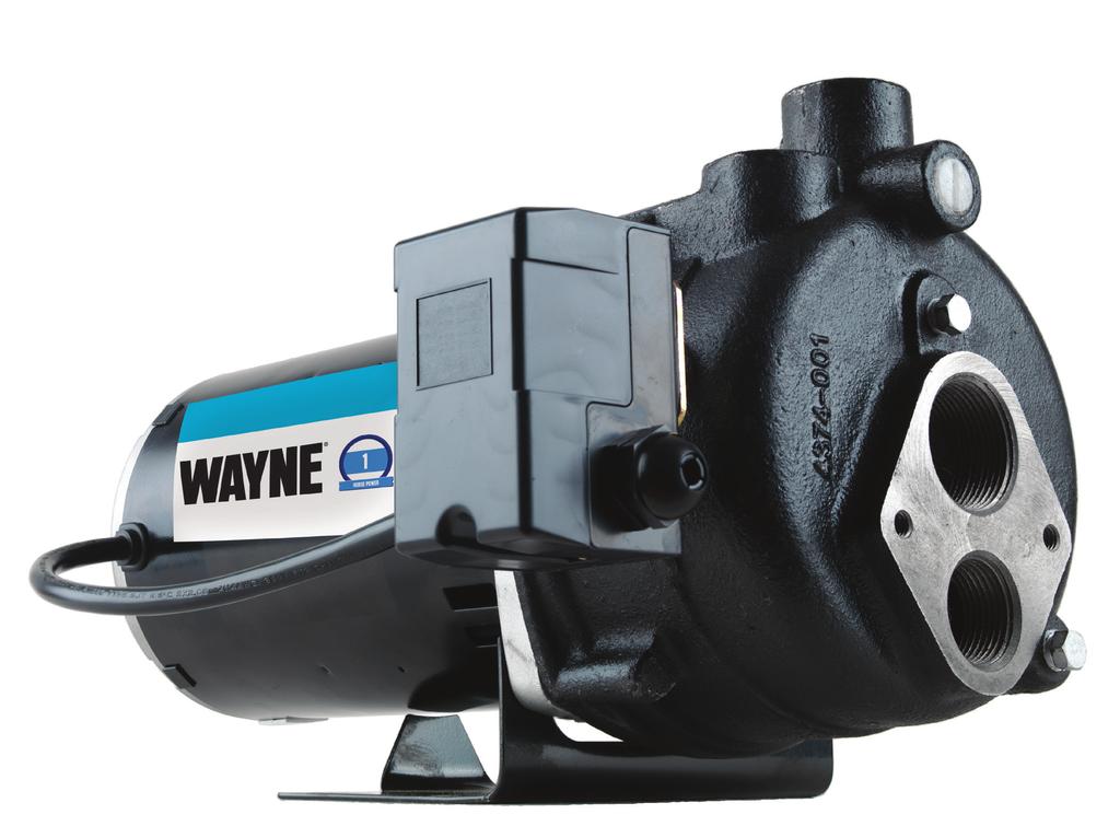 CAST IRON CONVERTIBLE WELL JET PUMP WELL WELL MODEL CWS, 1HP MODEL CWS, 1/2 HP The Perfect Reliable Solution for Wells Under 9 Feet! CWS 1 HP Max Flow @ 3 PSI, 17.