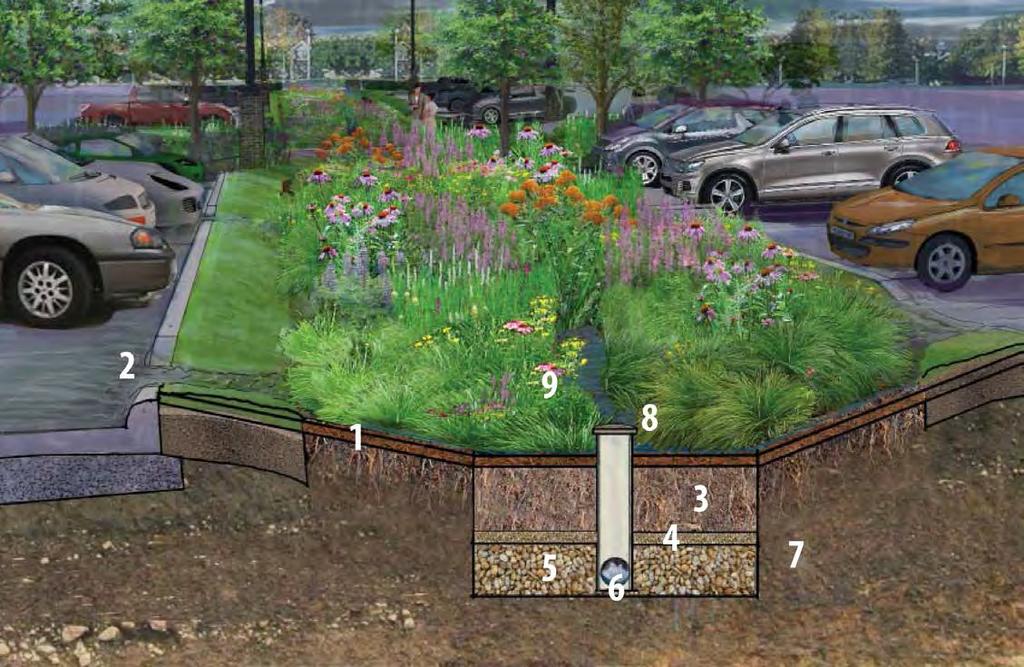 BIORETENTION CELL COMPONENTS Illustration Courtesy of RDG Planning and Design, ISWMM 1 Hardwood Mulch: 2-3 mulch 2 Curb cut or other inlet: Allows water into the bioretention cell 3 Modified Soil: