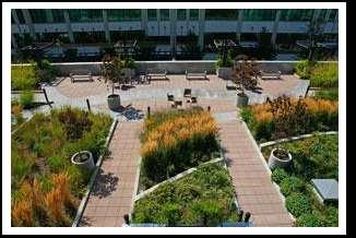 Green roofs can contribute to landfill diversion by: