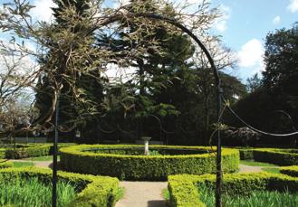 The Italian garden in Gunnersbury Park is behind the Temple. The garden was inspired by Italian gardens in the 14th century with its geometric forms and the perfect symmetry.