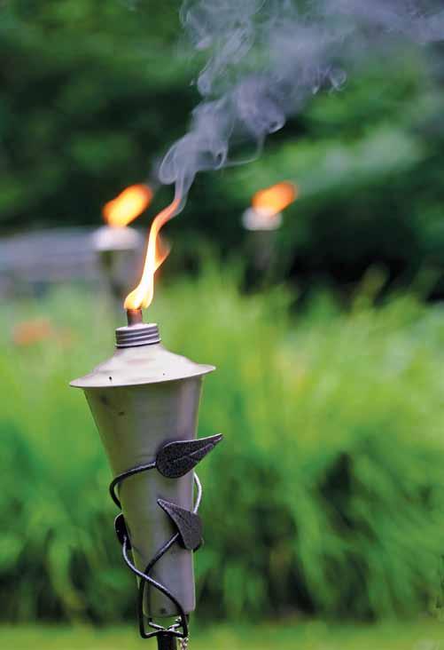 Add Ambiance to your outdoor space with natural gas lighting.