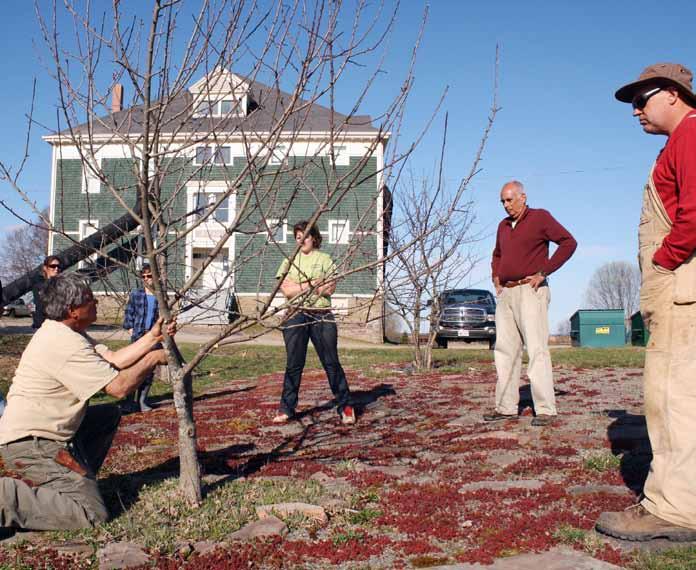 Overcoming a phobia of pruning A master class from the Garden Guru Bob Osborne teaching people how to prune apple trees at the Riverside Consolidated School (Bob is the one doing the work).