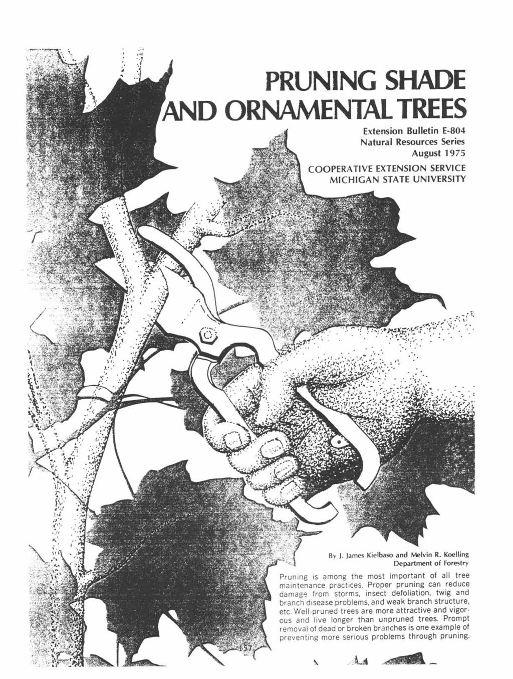 0 :.,.1 PRUNING SHADE AND ORNAMENTAL TREES Extension Bulletin E-804 Natural Resources Series August 1975 COOPERATIVE EXTENSION SERVICE MICHIGAN STATE UNIVERSITY.. o ::, By I.