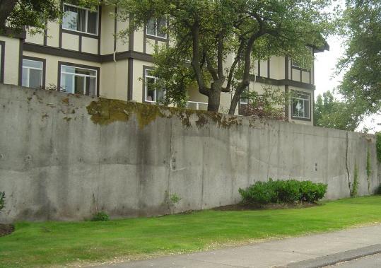 Retaining walls should be masonry or stone or another durable high-quality material.