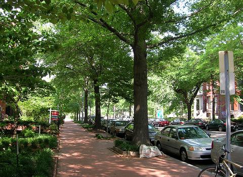 Parkways provide: a buffer between the sidewalk and the streets, an area in which to plant street trees, and a feeling of safety to pedestrians.