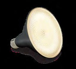 screws, 2x14W PAR38 LED lamps Product code Black Finish Warm White Light LFS013KBL BEAM ANGLE 120º 140mm 215mm TIP Passive infrared sensors are