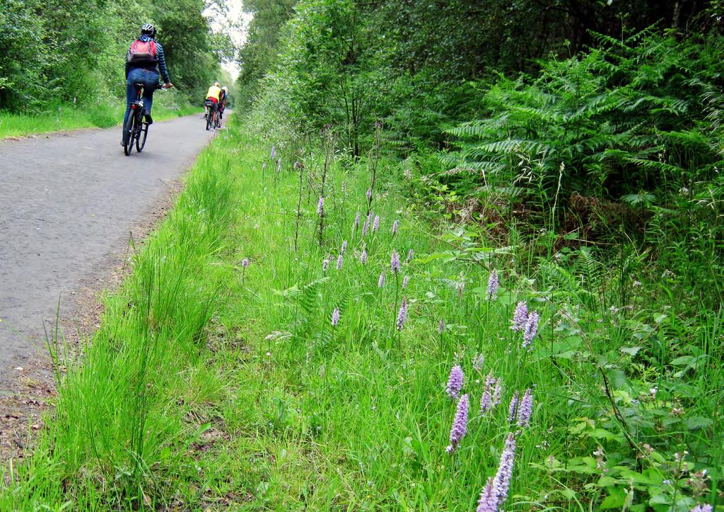 KEY LEARNING POINTS Partnership is key to Sustrans Greener Greenways initiative.