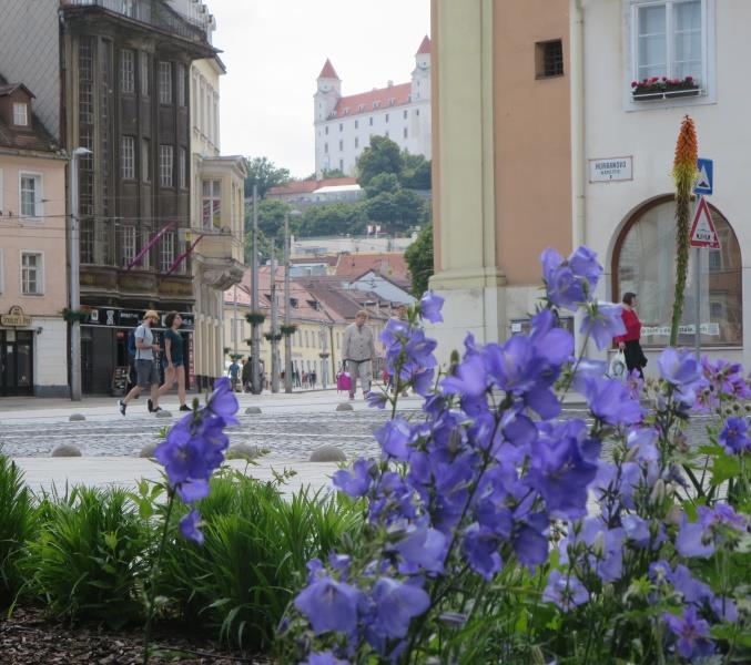 Source: Bratislava City Future plans of Bratislava City in climate change adaptation planning Continue implementing measures set by the Action plan for climate adaptation adaptation: vulnerability