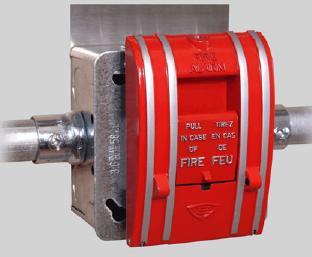 Heat detector has an analog device containing rate-of-rise and fixed temperature heat sensors to detect fire.