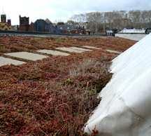 The Green Living Roof Panels delayed