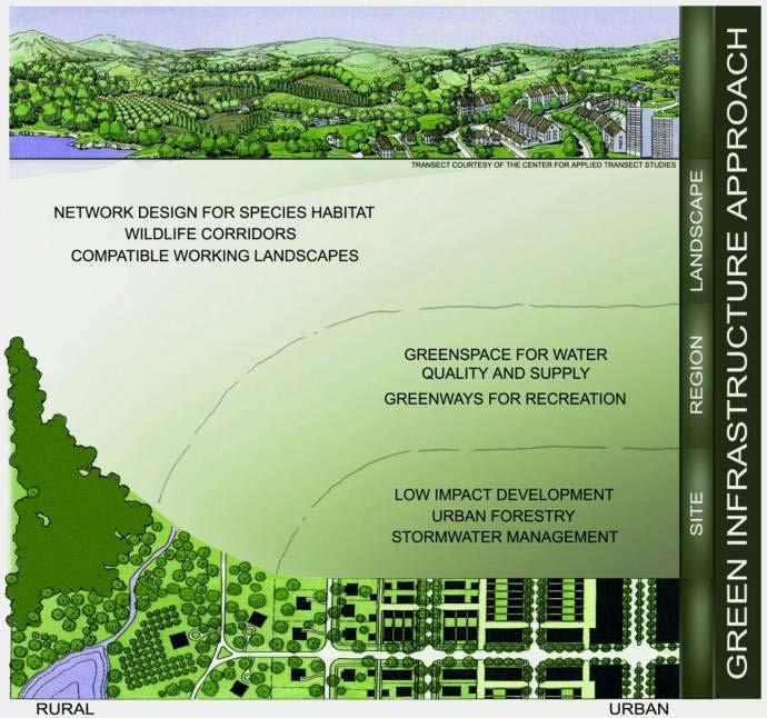 Green Infrastructure: Linking Regions and Landscapes A strategically planned and managed network of natural lands, working