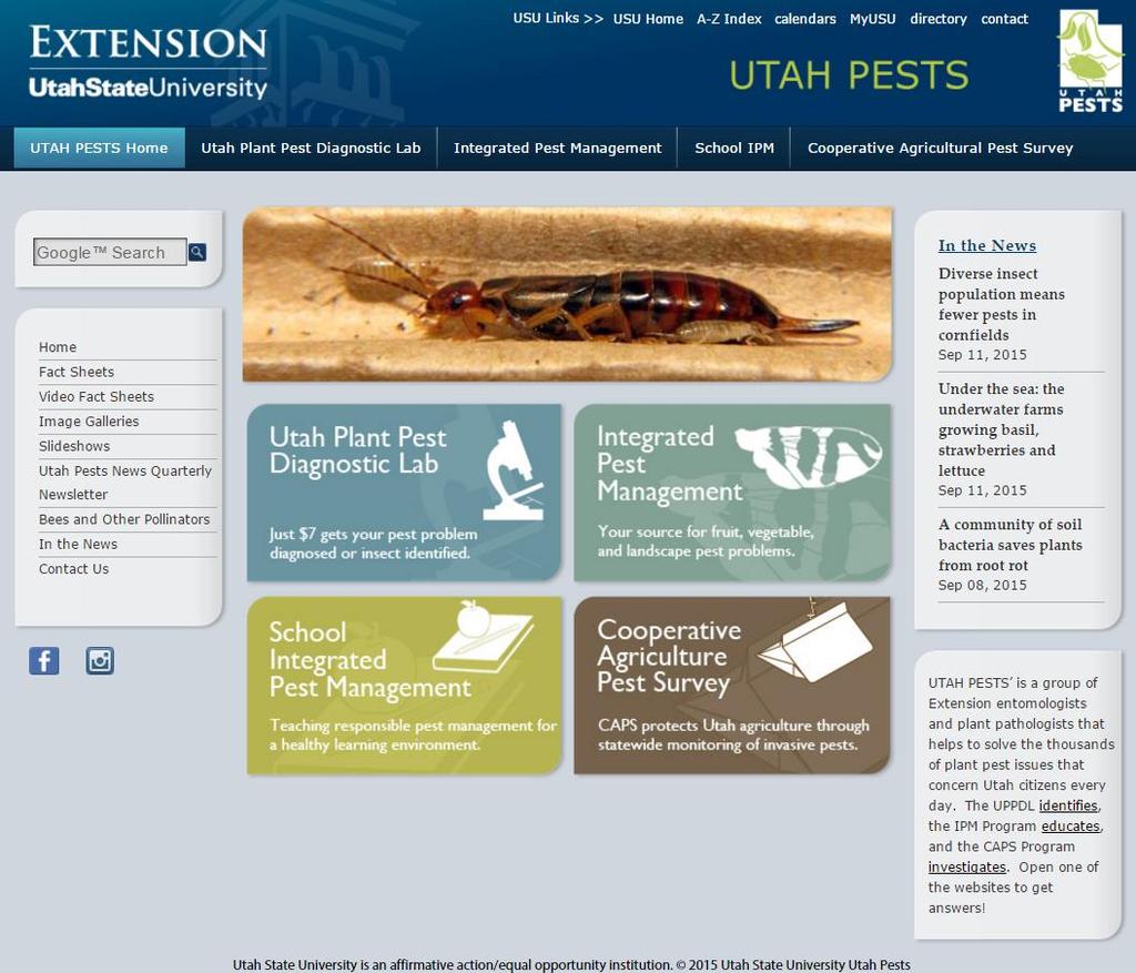 Utah Pests Online