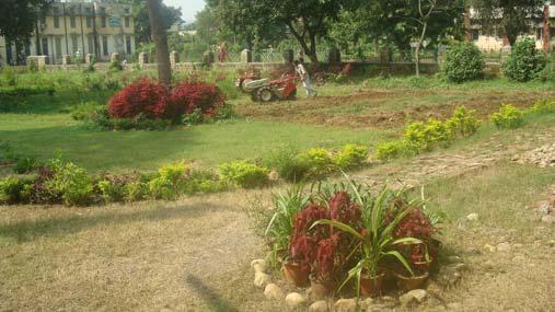 5. The novel episode on Floriculture and Landscaping - the most colourful sector of Horticulture has been started at HRRS, Dhaulakuan with the incumbency of concerned Scientist during