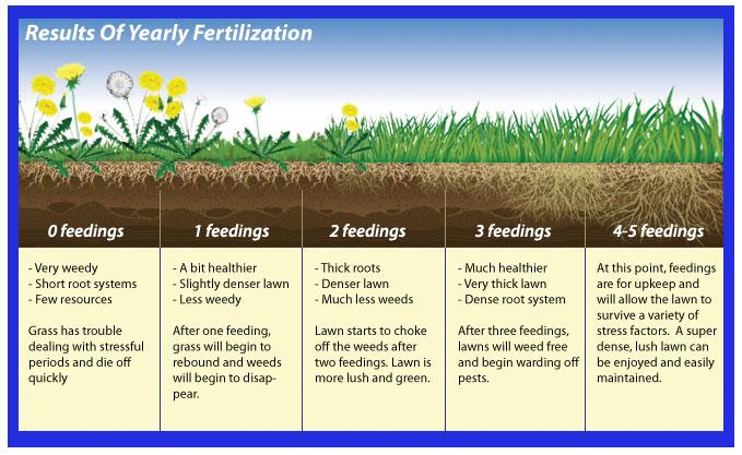 Fertilizing
