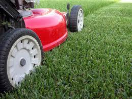 How to Care for Your Lawn - The Basics 3 Source: Utah State