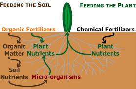Organic Fertilizers COMPONENTS; 1. COMPOST 2. ANIMAL WASTES 3. MILORGANITE 4. HUMATES 5. WORM CASTINGS 6. FEATHER MEAL 7. COTTONSEED MEAL. 8.