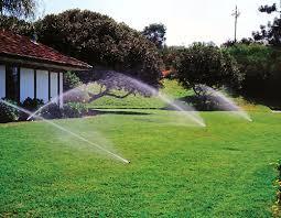 Irrigation Correct watering is essential to