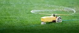 Irrigation Water plays an important role in the