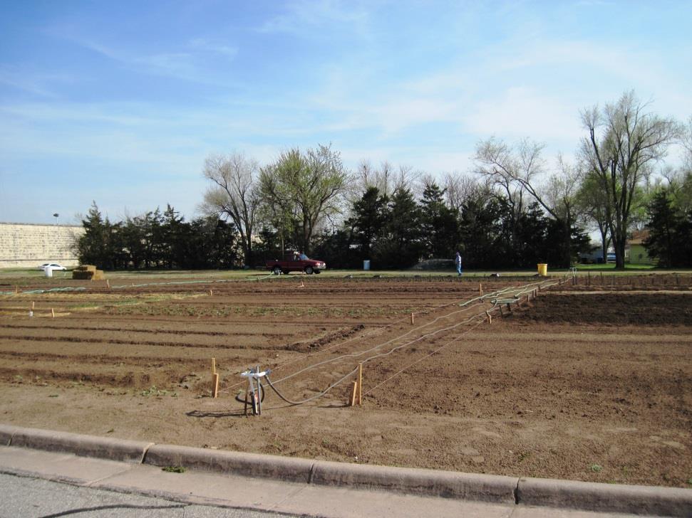 Open Layout Can be tilled each