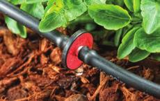 Potting soils are very porous and water can move downward quickly, so the correct emission device is