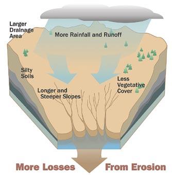 What contributes to erosion? Factors influencing erosion.