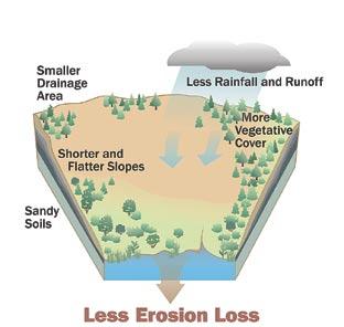 soils result in higher soil losses from erosion.