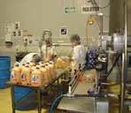 bags Inline liquid egg production