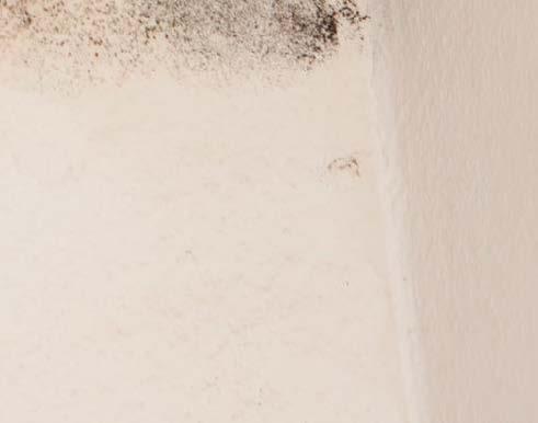 Other kinds of damp Penetrating damp Penetrating damp can be caused by leaks from roofs, windows and plumbing.