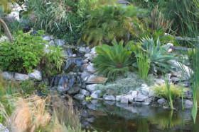 Standard Ponds At a Glance Liner Use precut sizes of EPDM for the pond, waterfall, and stream.