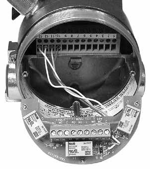 Figure 4 shows the wiring terminal strip located inside the detector s integral junction box.