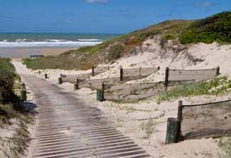 3. Dune management Principle Dunes are to be protected and dune vegetation is maintained and enhanced. Policies 3.