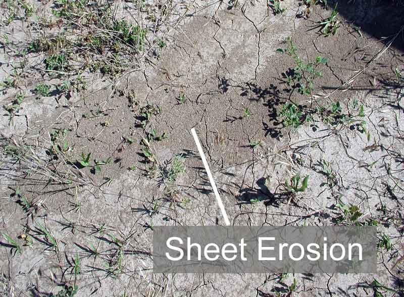 Types of Soil Erosion Three types: Sheet thin