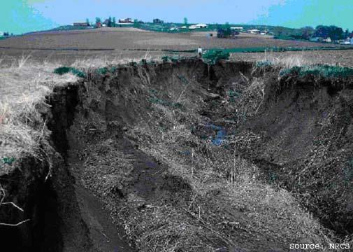 soil fertility topsoil disappears Pollutes water