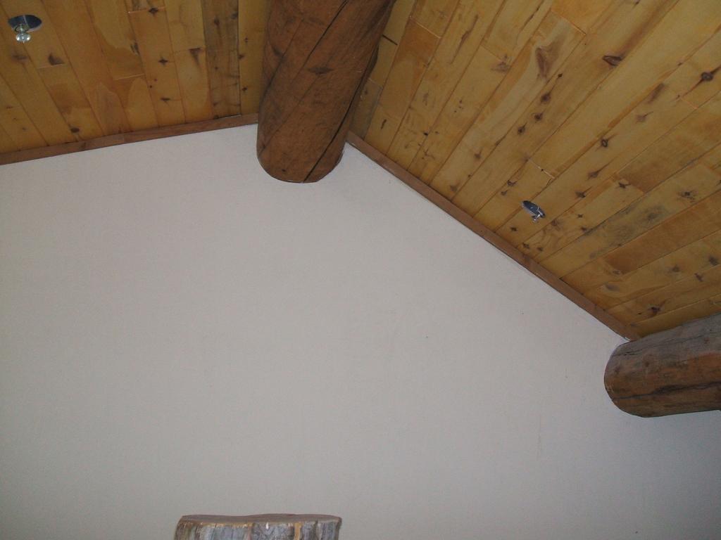 Living room west wall, ceiling intersection showing the main ridge beam. Taken from upstairs hallway. The infrared image clearly shows air infiltration around the beam.