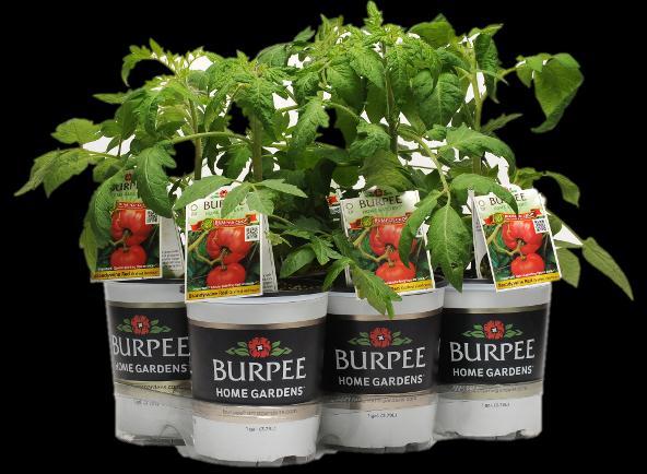 2013 Packs/pots: The Burpee Home Gardens program must be merchandised in Burpee Home Gardens-approved packs or pots.