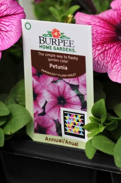 2013 ROYALTY REBATE PROGRAM This program is offered to Burpee Home Gardens Certified Growers on a guaranteed sale basis.