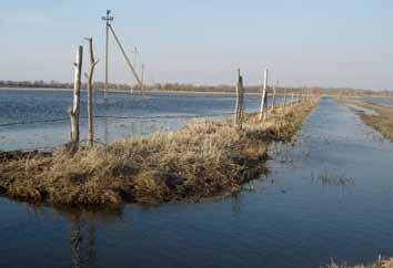 (Basalykas, 1965). Nemuno delta viena iš nedaugelio vietų Europoje, kur kasmet vyksta gana dideli upės potvyniai.