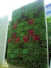 Green walls a sustainable method to help create buildings with lower East Street Regeneration carbon footprints will feature in the East Street Regeneration development on the external walls of