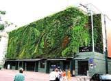 A green wall is a vertical garden that is pre-planted as a wall cladding and acts as a bio-filter, enhancing air quality by transforming harmful airborne contaminants into clean oxygen and