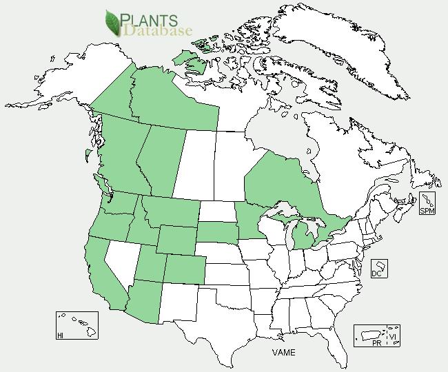 North American Distribution Washington